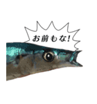 魚だよ！（個別スタンプ：24）