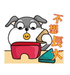 Fat Dog Pudding - Celebrate the Festival（個別スタンプ：23）