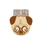 Planet dog - Pug（個別スタンプ：5）