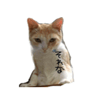 小麦 ちょっと太めの茶トラの猫（個別スタンプ：32）