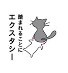 猫を愛でる日常（個別スタンプ：14）