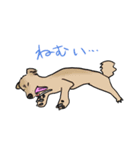 もりた画伯と愛犬たち（個別スタンプ：6）