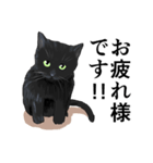 ある黒猫のスタンプ（個別スタンプ：2）