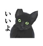 ある黒猫のスタンプ（個別スタンプ：4）