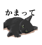 ある黒猫のスタンプ（個別スタンプ：7）