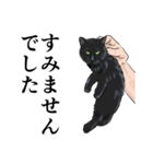 ある黒猫のスタンプ（個別スタンプ：10）