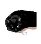 ある黒猫のスタンプ（個別スタンプ：11）