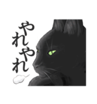 ある黒猫のスタンプ（個別スタンプ：14）