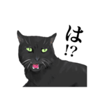 ある黒猫のスタンプ（個別スタンプ：16）