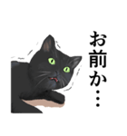 ある黒猫のスタンプ（個別スタンプ：26）