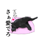 ある黒猫のスタンプ（個別スタンプ：33）