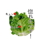 これは使える！実写野菜＆果物で日常語！（個別スタンプ：37）