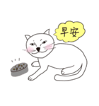 Cat Wang（個別スタンプ：2）