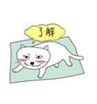 Cat Wang（個別スタンプ：4）