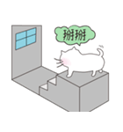 Cat Wang（個別スタンプ：5）