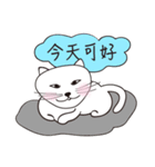 Cat Wang（個別スタンプ：8）