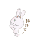 CrazyRabbit（個別スタンプ：24）