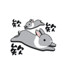 Gray rabbit Mei Mei（個別スタンプ：5）