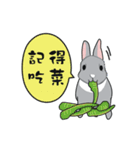 Gray rabbit Mei Mei（個別スタンプ：24）