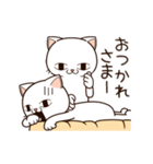 MOVE ！ MOVE ！ MIREDO Cat（個別スタンプ：19）