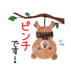 (40個入♪)ぬいくま 元気な敬語！（個別スタンプ：17）