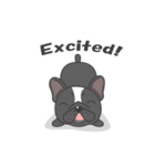 Raven the French Bulldog Animated 2（個別スタンプ：2）