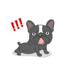 Raven the French Bulldog Animated 2（個別スタンプ：3）