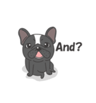 Raven the French Bulldog Animated 2（個別スタンプ：5）