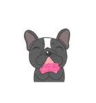 Raven the French Bulldog Animated 2（個別スタンプ：10）