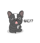 Raven the French Bulldog Animated 2（個別スタンプ：16）