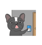 Raven the French Bulldog Animated 2（個別スタンプ：19）