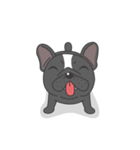 Raven the French Bulldog Animated 2（個別スタンプ：21）