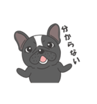 Raven the French Bulldog Animated 2（個別スタンプ：22）