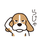 ビーグル犬「ピノ」（個別スタンプ：5）