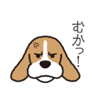 ビーグル犬「ピノ」（個別スタンプ：6）