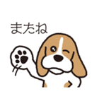 ビーグル犬「ピノ」（個別スタンプ：17）