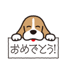 ビーグル犬「ピノ」（個別スタンプ：25）