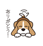 ビーグル犬「ピノ」（個別スタンプ：31）