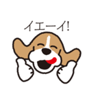 ビーグル犬「ピノ」（個別スタンプ：34）