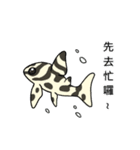 Pleco fish 2（個別スタンプ：6）