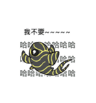 Pleco fish 2（個別スタンプ：16）