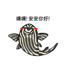 Pleco fish 2（個別スタンプ：28）