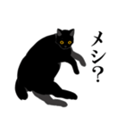 淡泊きまぐれな黒猫（個別スタンプ：3）
