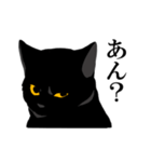 淡泊きまぐれな黒猫（個別スタンプ：5）