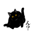 淡泊きまぐれな黒猫（個別スタンプ：16）