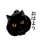 淡泊きまぐれな黒猫（個別スタンプ：17）
