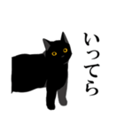 淡泊きまぐれな黒猫（個別スタンプ：18）