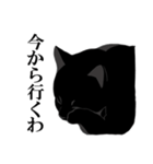 淡泊きまぐれな黒猫（個別スタンプ：19）