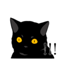 淡泊きまぐれな黒猫（個別スタンプ：24）