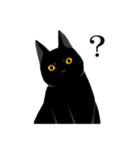 淡泊きまぐれな黒猫（個別スタンプ：25）
